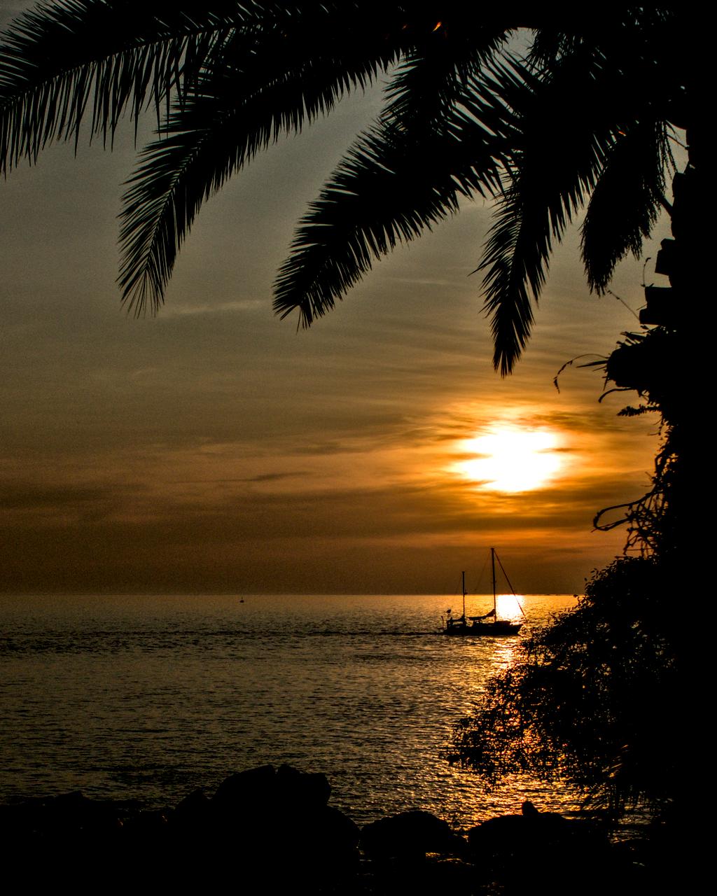 Pôr-do-Sol no mar diante de veleiro. Ramos de palmeira ao redor.