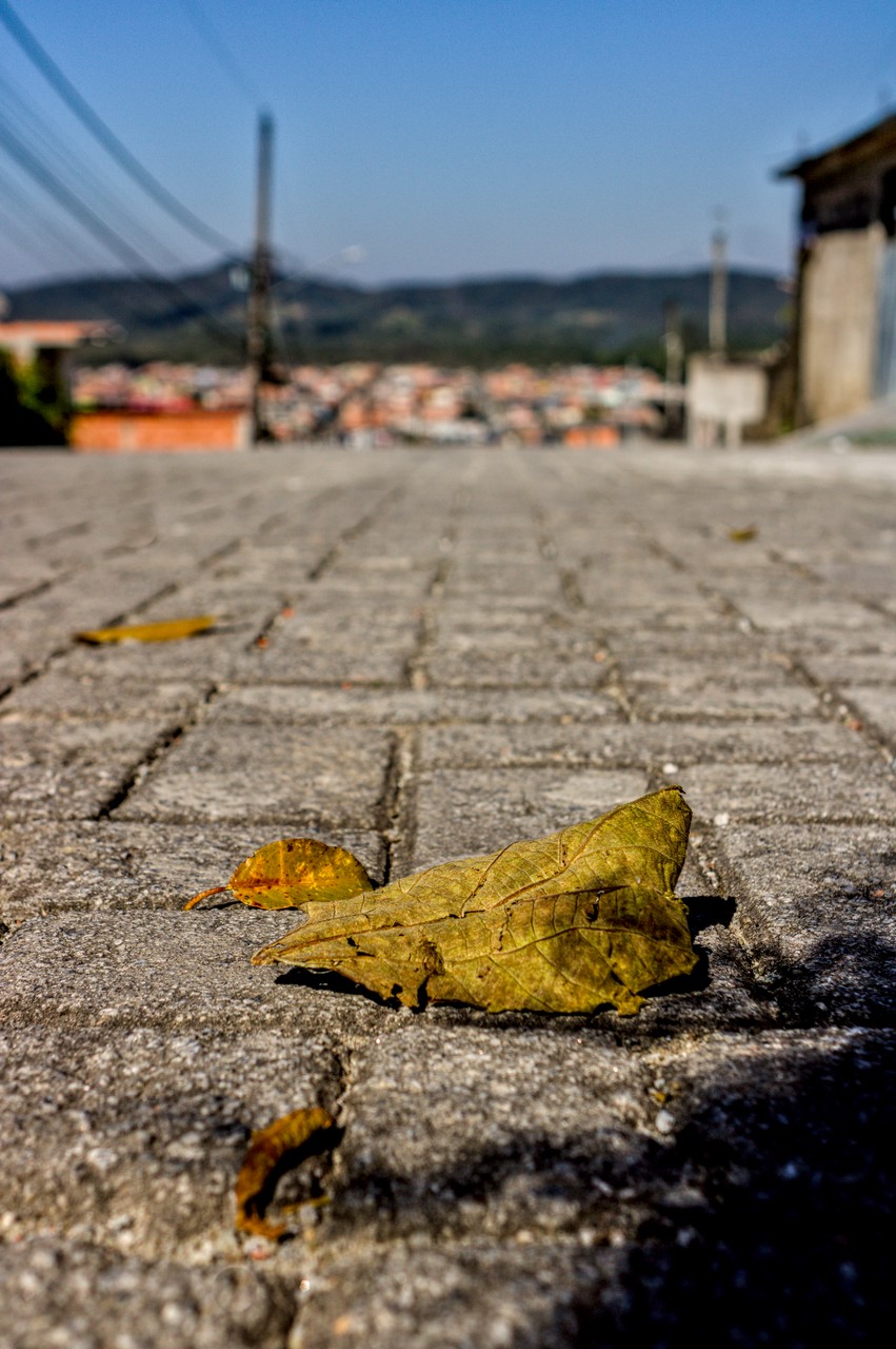 Folha seca em primeira plano, Cratera de Colônia desfocada ao fundo.