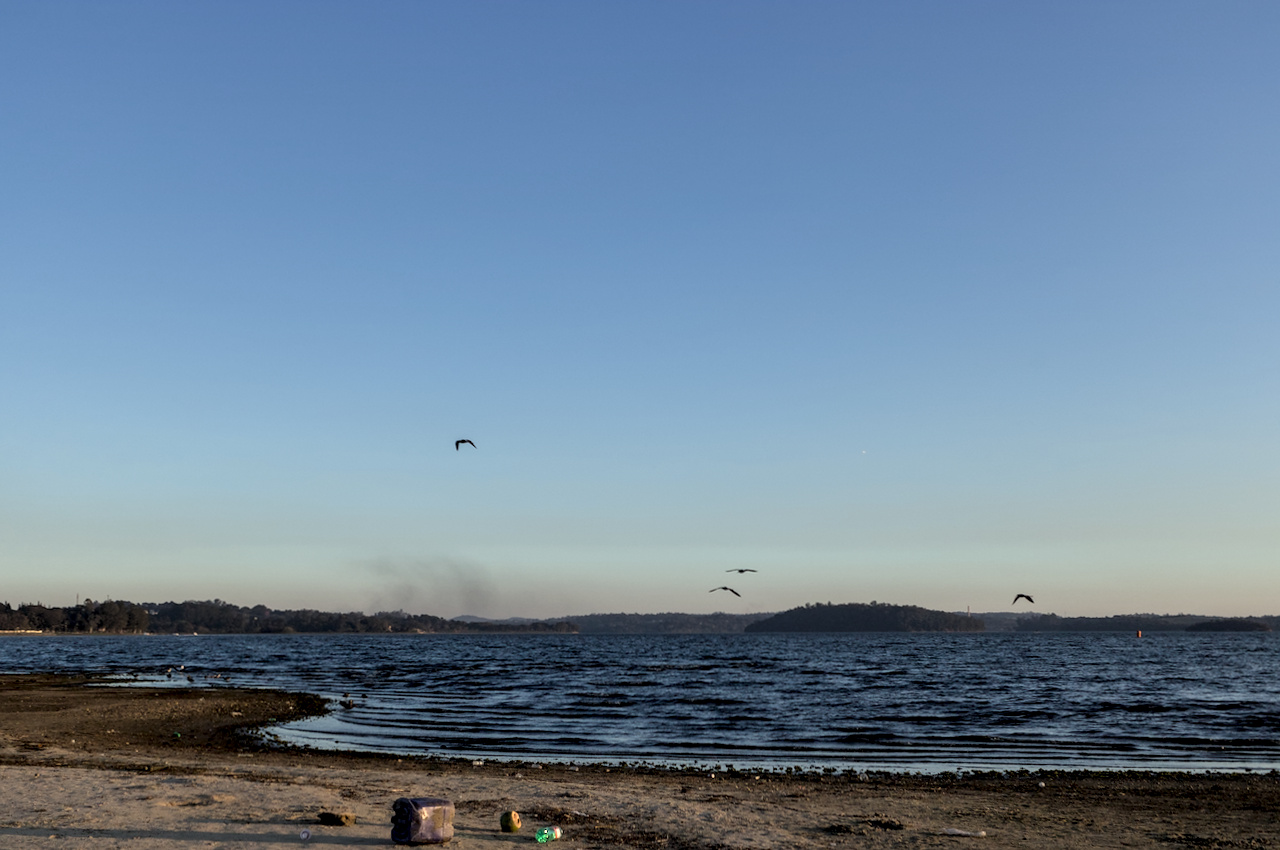 Em primeiro plano, solo arenoso com lixo; em segundo plano, massa de água azulada; ao fundo, colinas vegetadas. Quatro aves cortam o céu azulado.